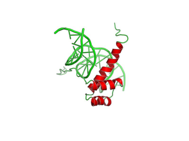 Ribbon image for 1nk2
