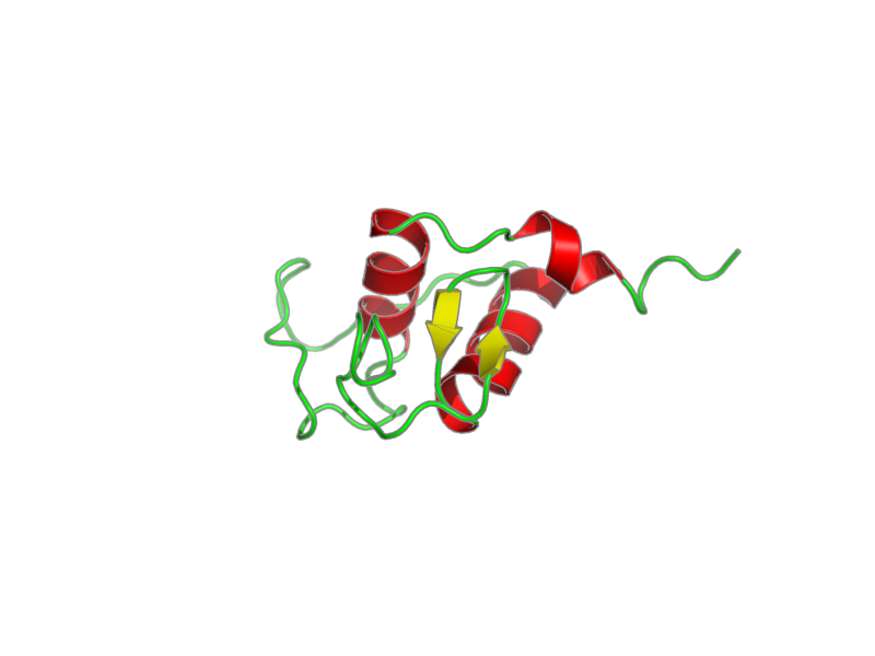 Ribbon image for 1rxr