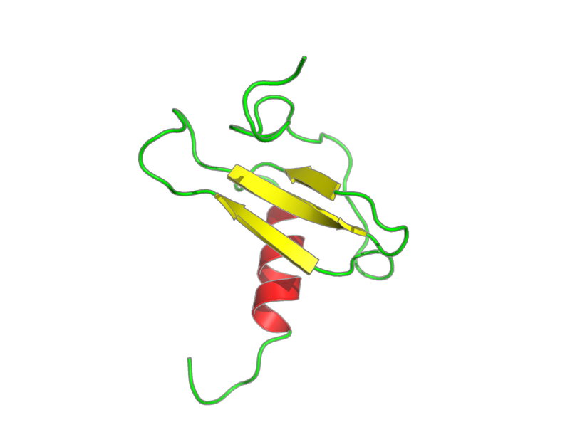 Ribbon image for 1eot