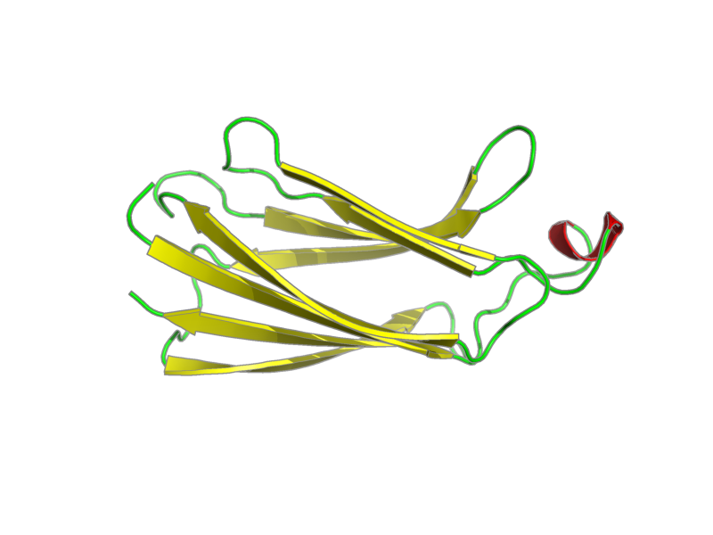 Ribbon image for 1bci