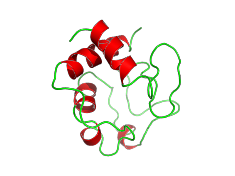 Ribbon image for 1giw