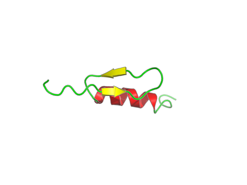 Ribbon image for 1bhi