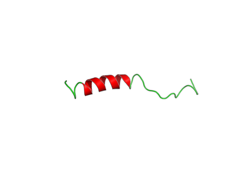 Ribbon image for 1bmx