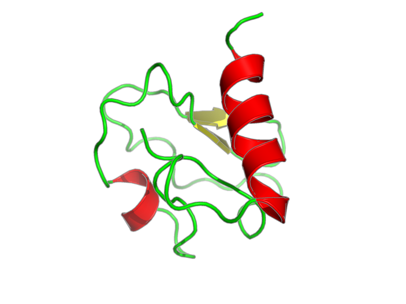 Ribbon image for 1bqx