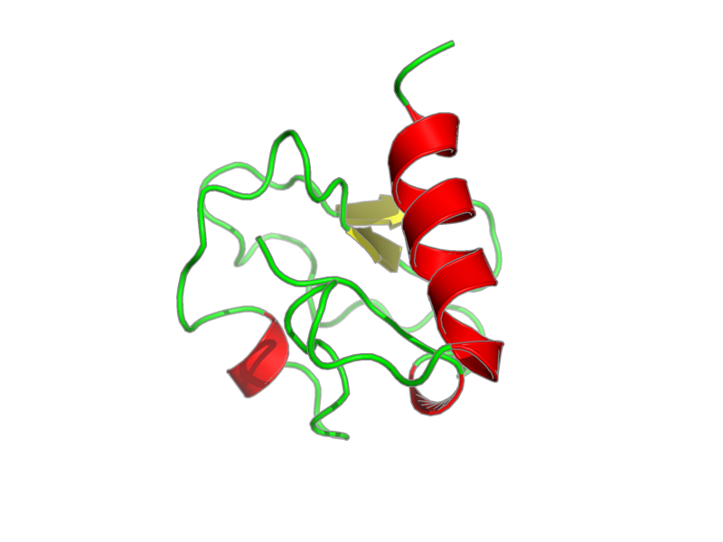 Ribbon image for 1bwe