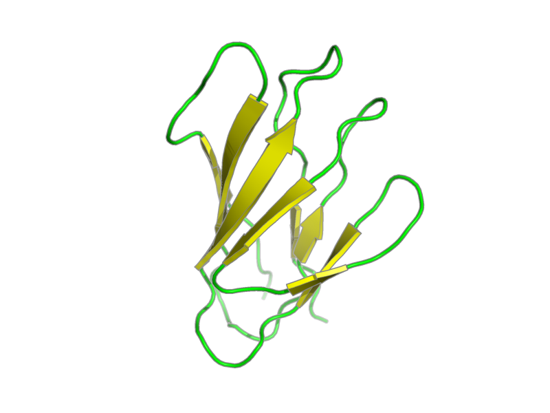 Ribbon image for 2xbd