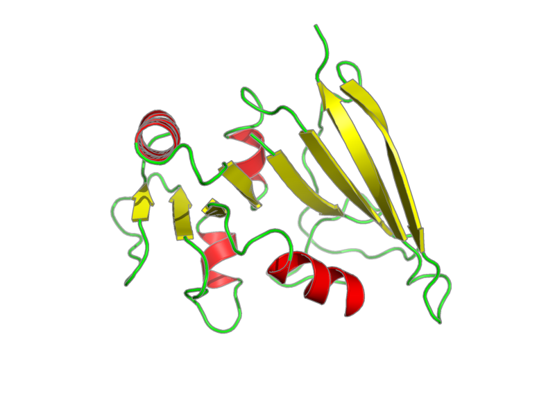 Ribbon image for 1bzf