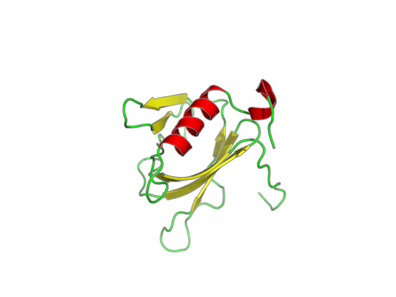 Ribbon image for 1fho