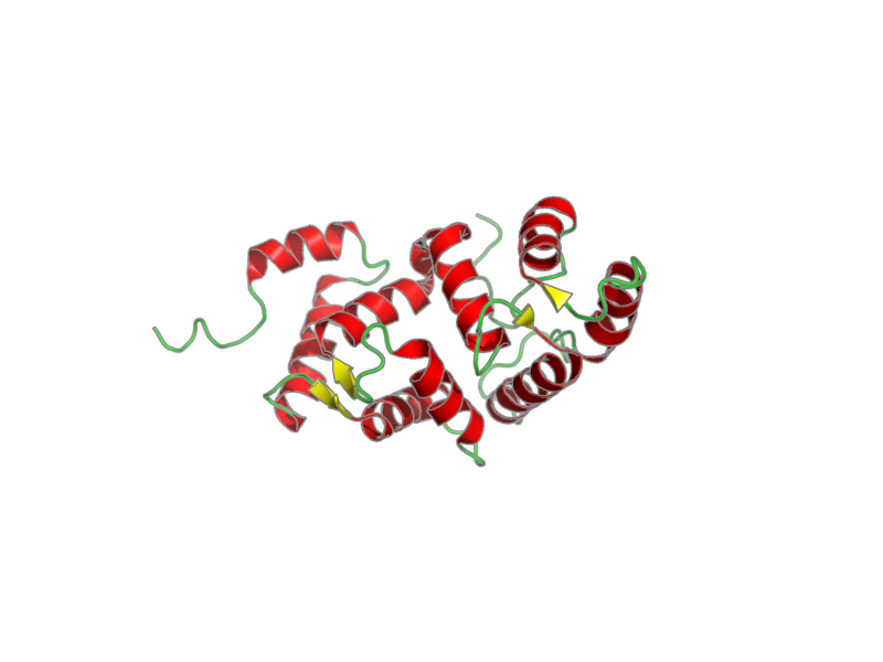 Ribbon image for 2lcp