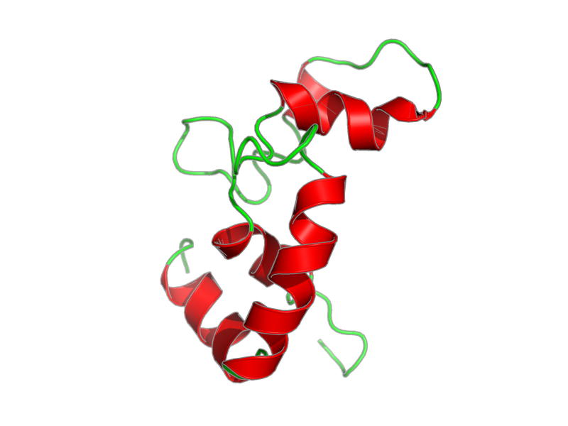 Ribbon image for 1blq