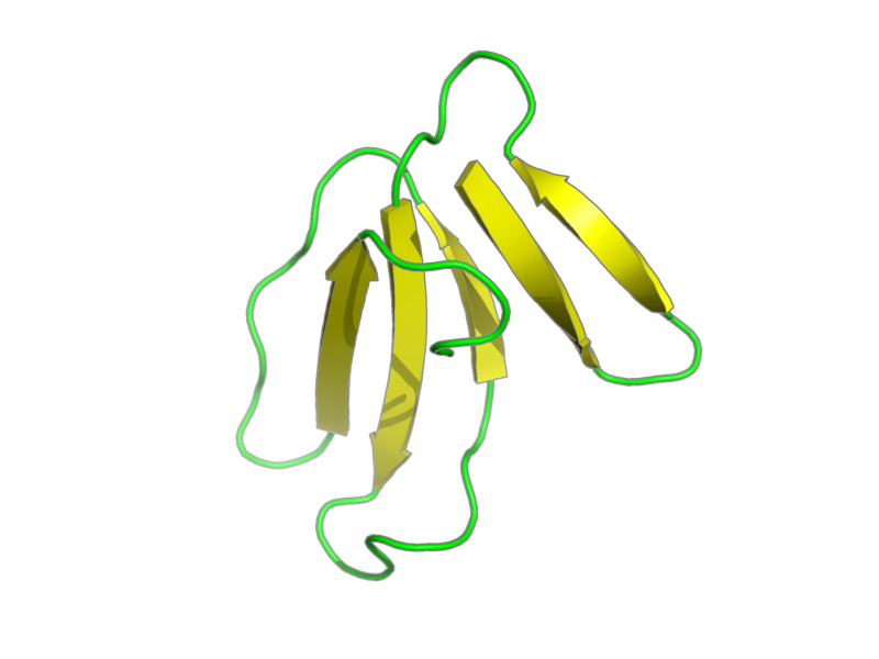 Ribbon image for 1ccq