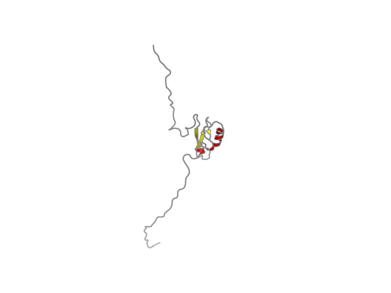 Ribbon image for 1ub1