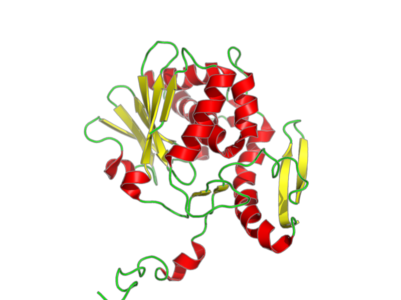Ribbon image for 1d8v