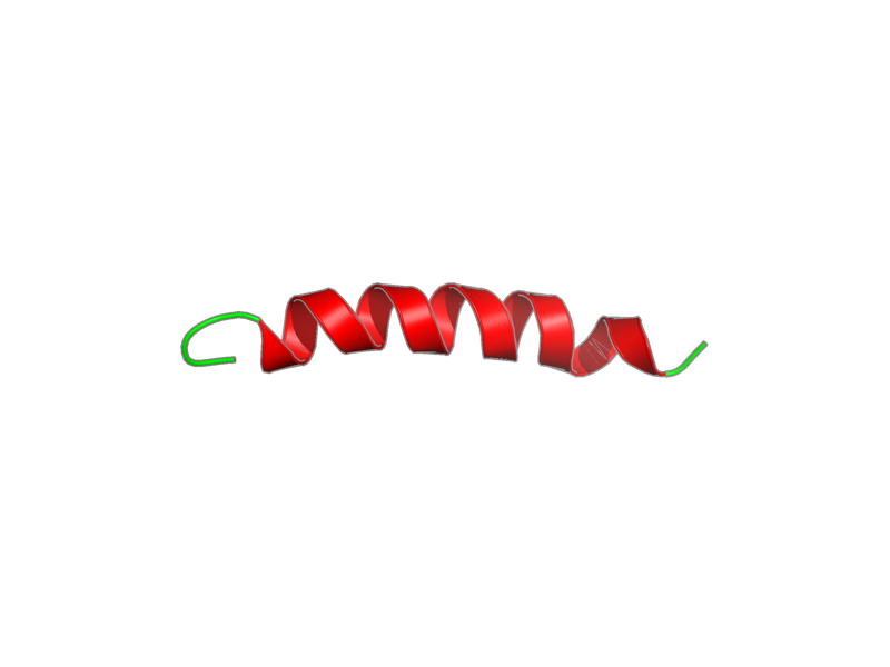 Ribbon image for 1ckw