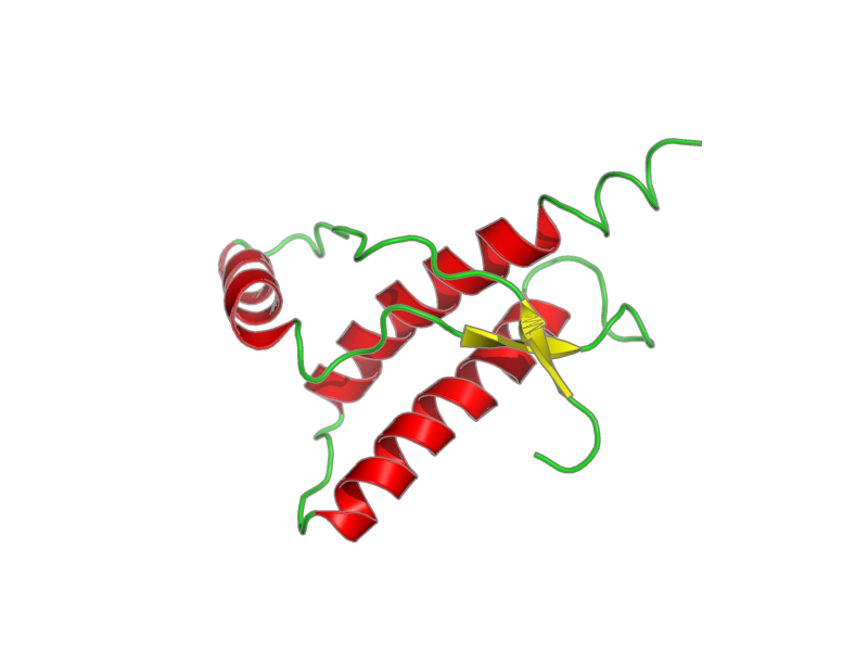 Ribbon image for 1e1u