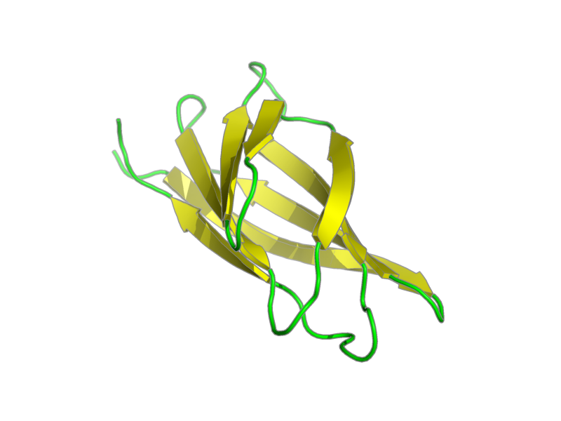 Ribbon image for 1e5c