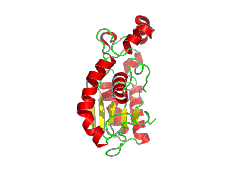 Ribbon image for 1fzt