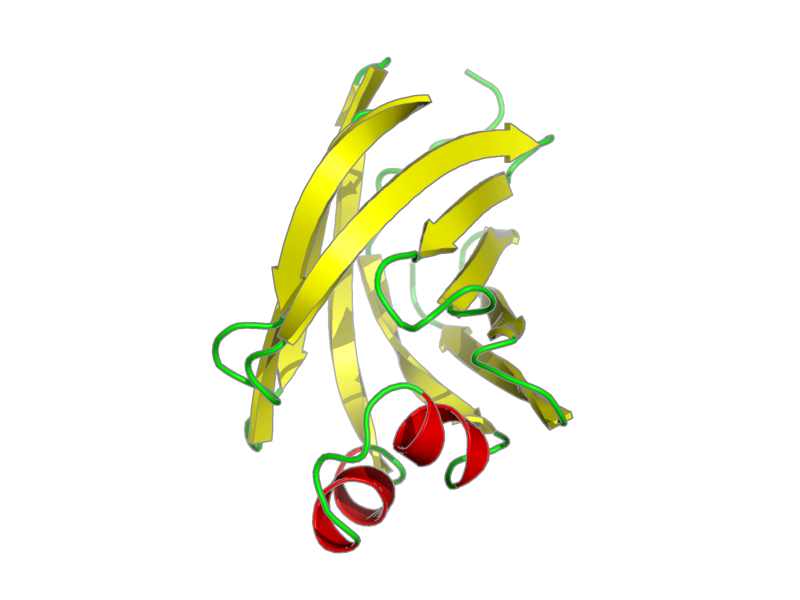 Ribbon image for 1eii