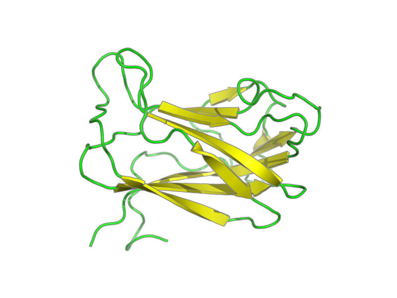 Ribbon image for 1cx1