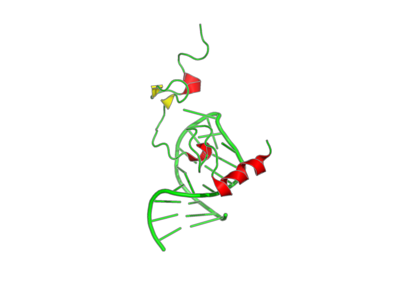 Ribbon image for 1f6u