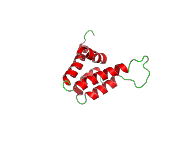 Ribbon image for 1e91