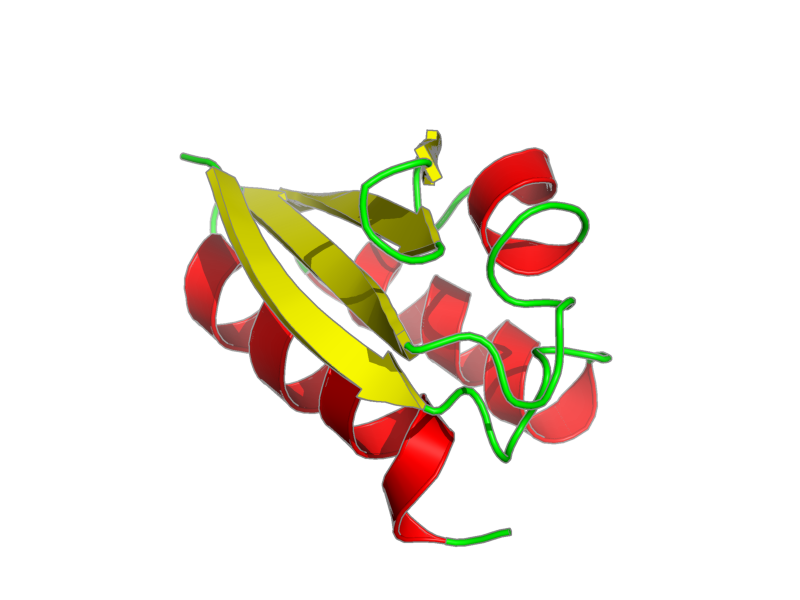 Ribbon image for 1k1c