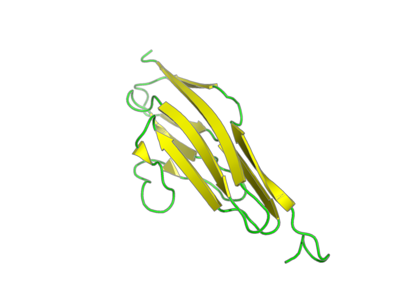 Ribbon image for 1ie5
