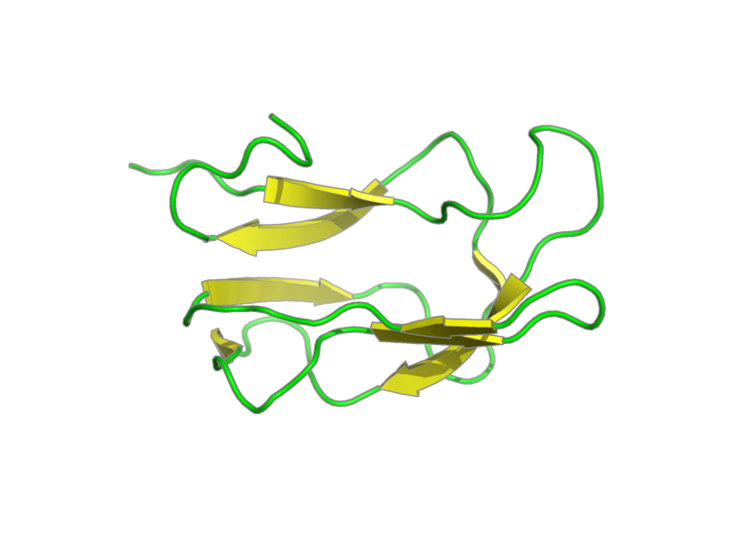 Ribbon image for 1k8m
