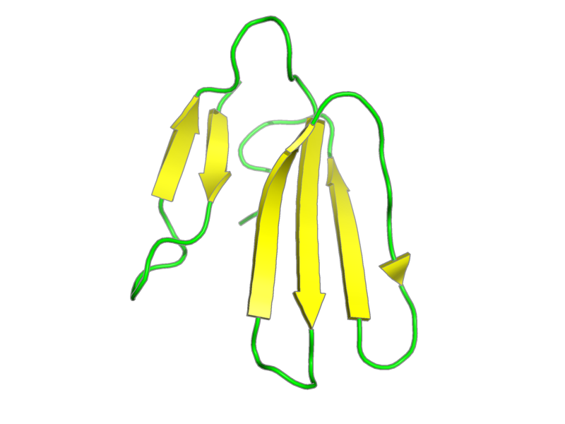 Ribbon image for 1ijc