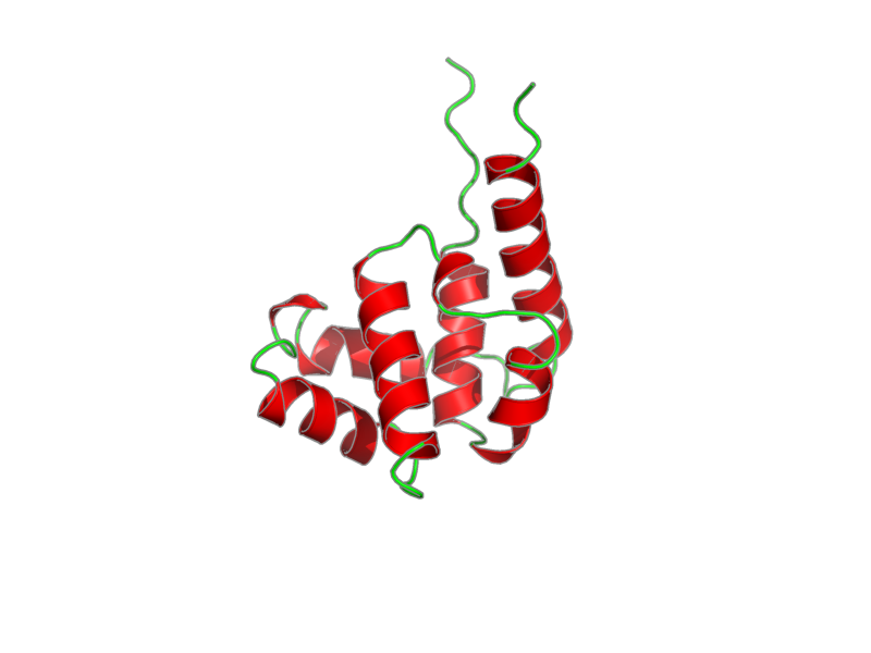 Ribbon image for 1jwe