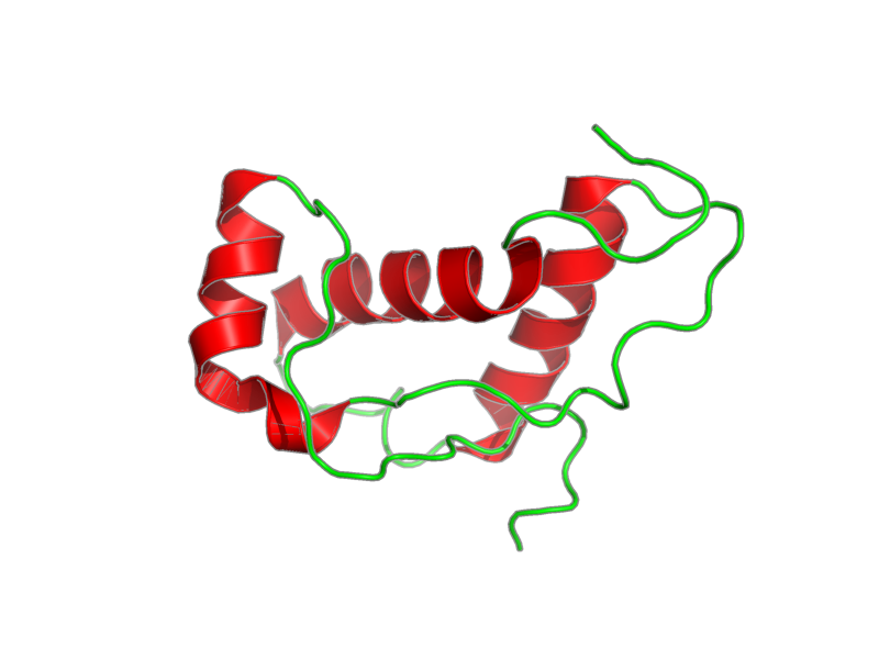 Ribbon image for 1lg4