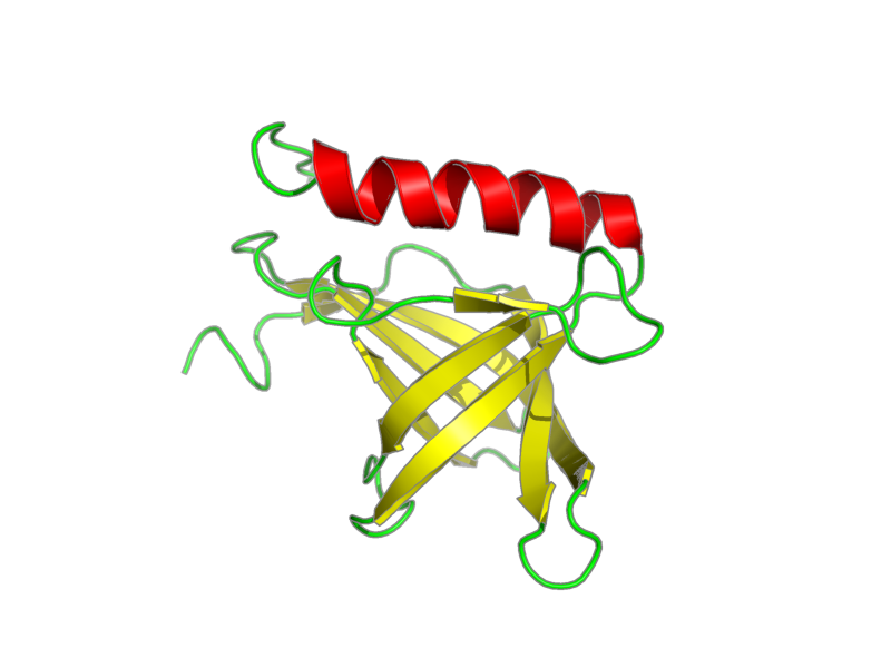 Ribbon image for 1xke