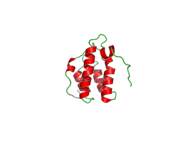 Ribbon image for 1mp1