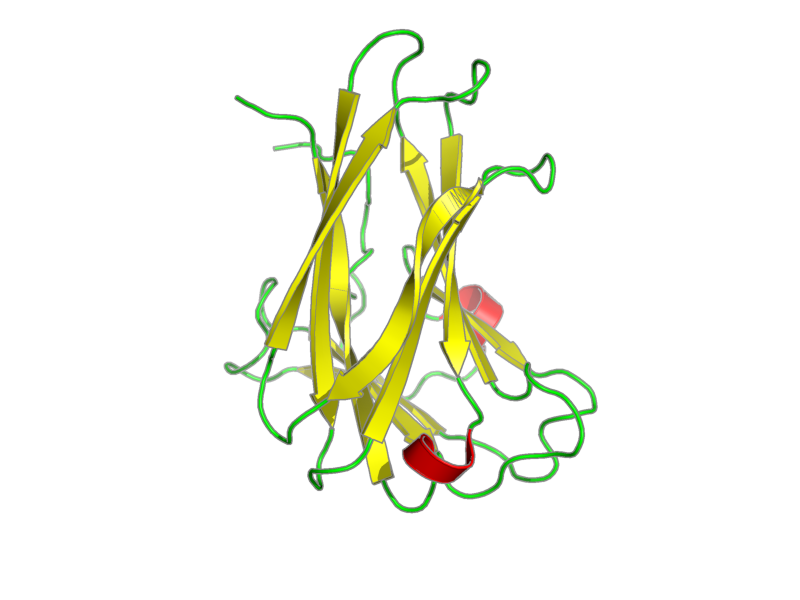 Ribbon image for 1k42