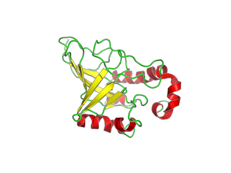 Ribbon image for 1kxl