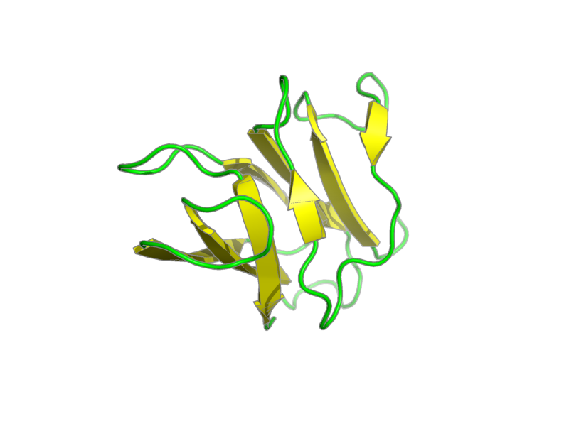 Ribbon image for 1wkt
