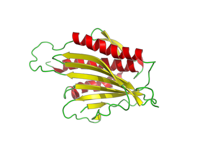 Ribbon image for 1klq