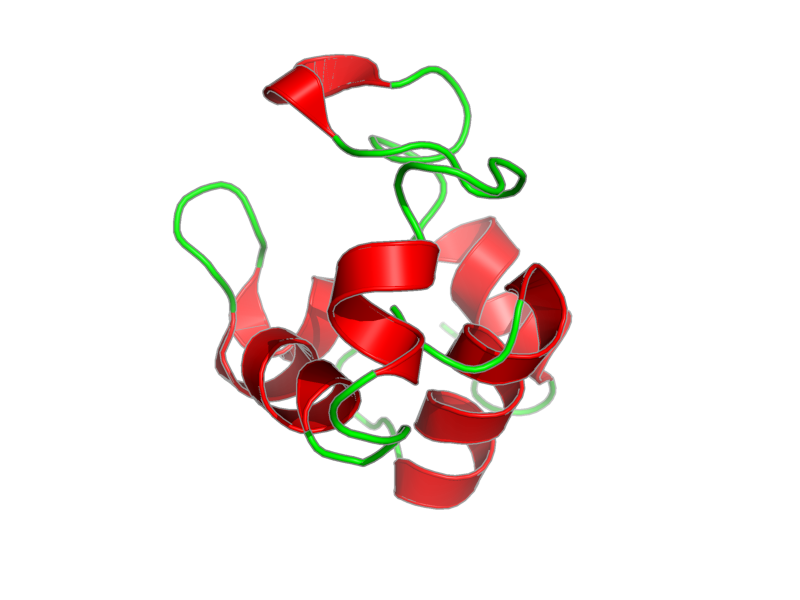 Ribbon image for 1kx2