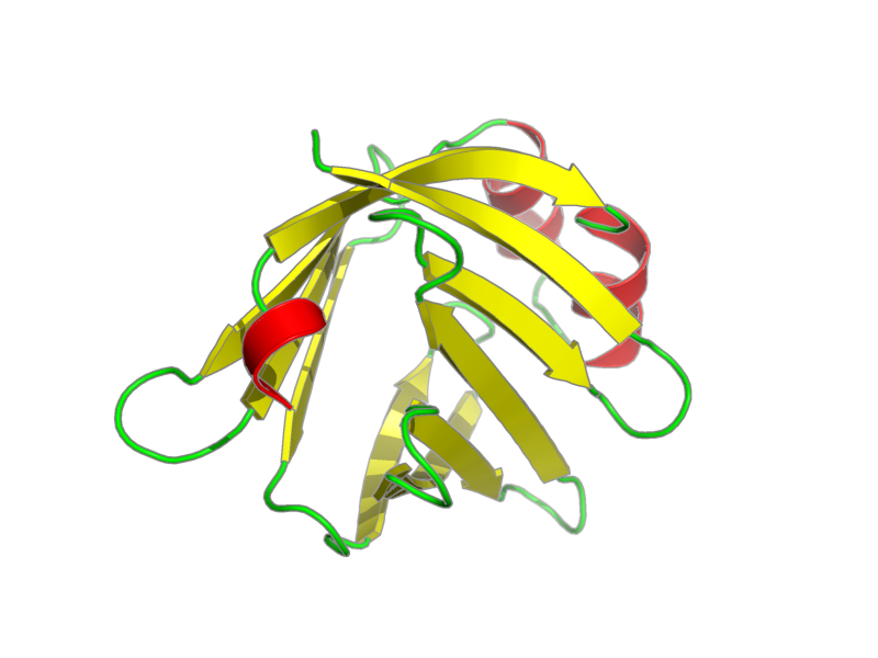 Ribbon image for 1jjx
