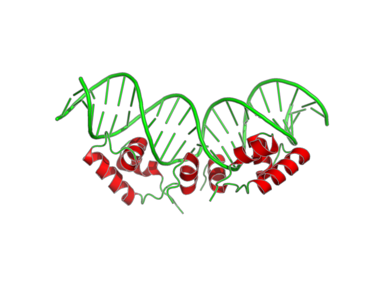 Ribbon image for 1l1m
