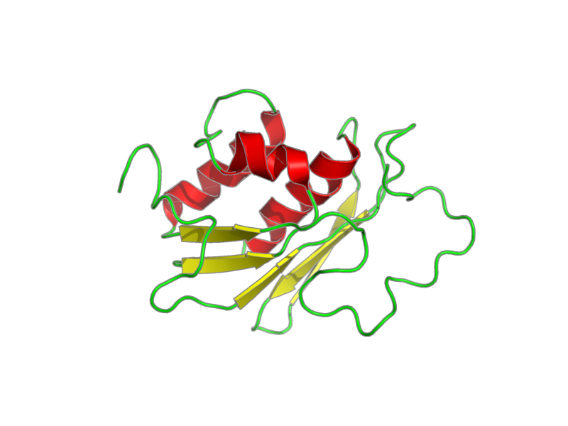 Ribbon image for 1o1w