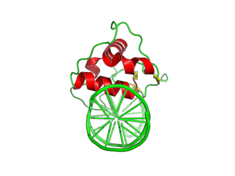 Ribbon image for 1lo1