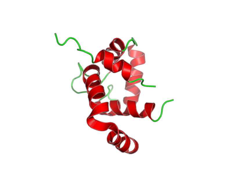 Ribbon image for 1lxf