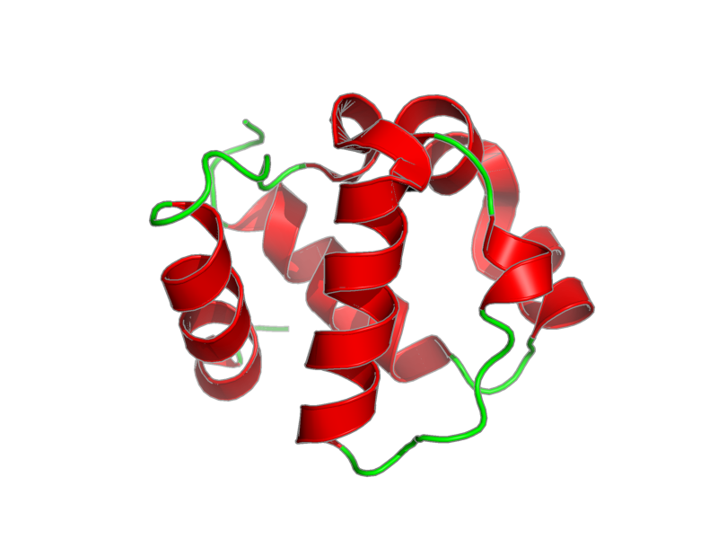 Ribbon image for 1sxd