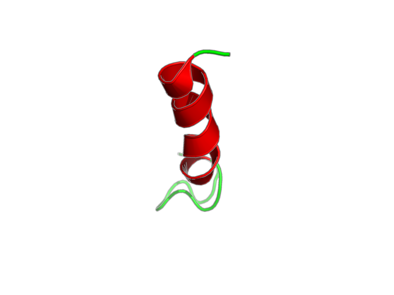Ribbon image for 1m25