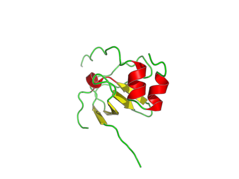 Ribbon image for 1k4u