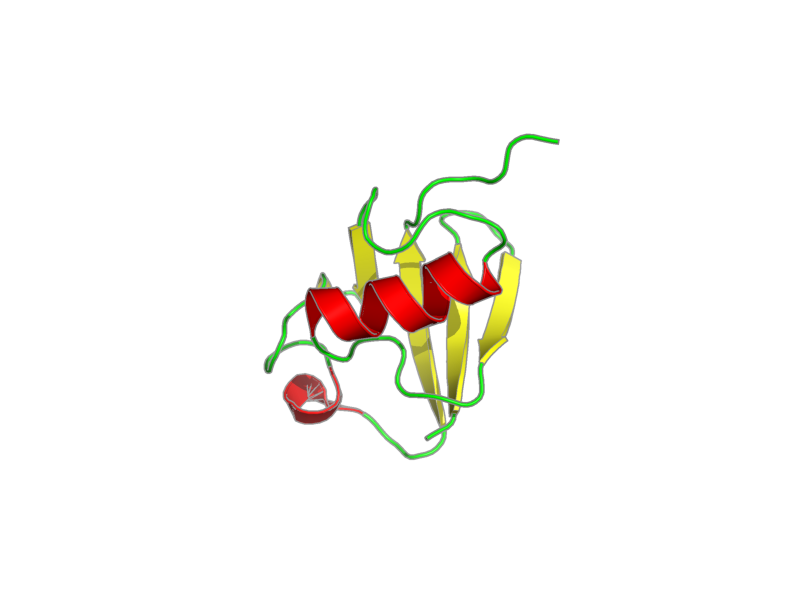Ribbon image for 1iyf