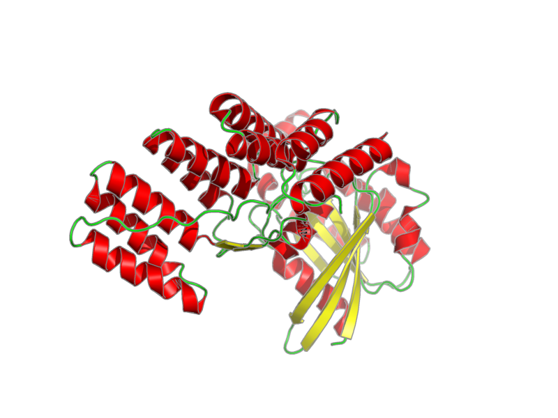 Ribbon image for 1e96