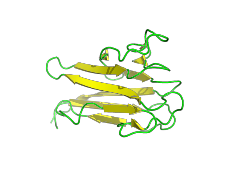 Ribbon image for 1mzk