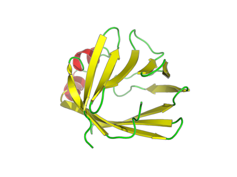 Ribbon image for 1mx8